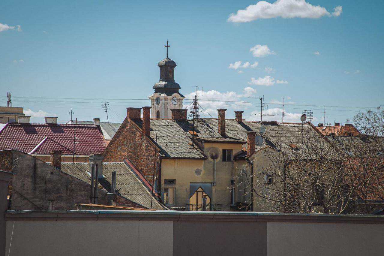 Alina Hotel & Hostel Užhorod Exteriér fotografie